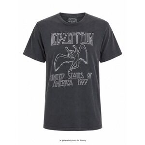 Led Zeppelin 1977 US Tour Swan Song Graphic T-Shirt Mens Large Black